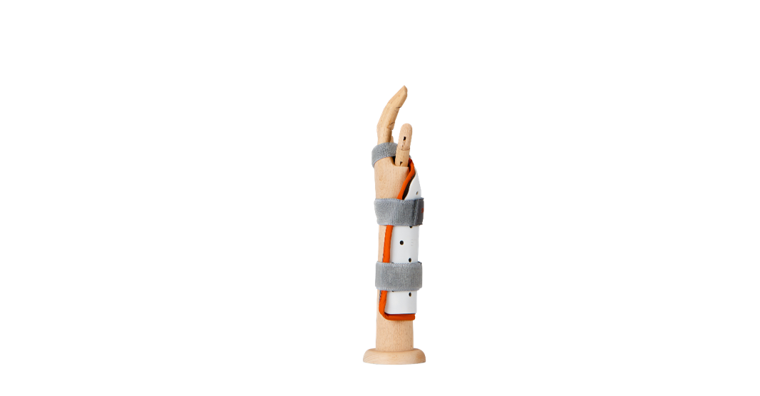 콕업 스플린트(translate:cock-up splint)의 근육 지지 및 고정 해부학