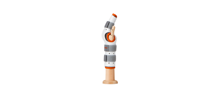 라디알 거터 스플린트(translate:radial gutter splint) 근육 지지 및 해부학적 중요점