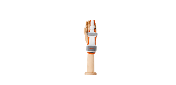 손가락 부목 (translate: Finger Splint) 근육 지지 및 해부학적 중요점